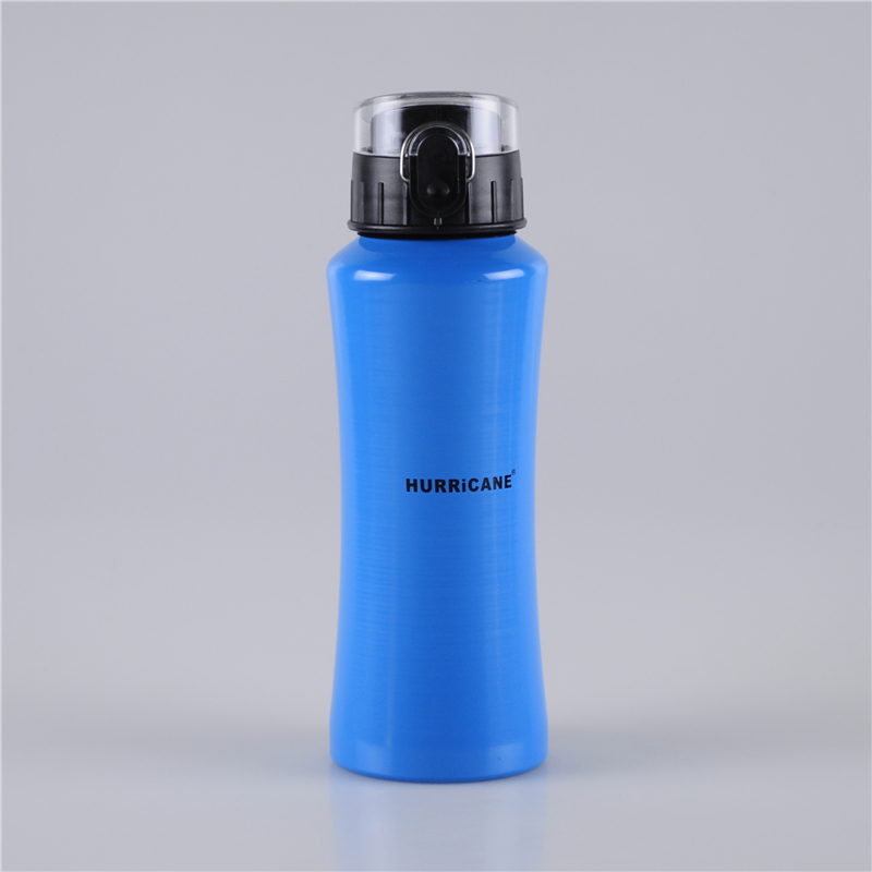 600ml-easy-to-carry-metal-water-bottles (1)