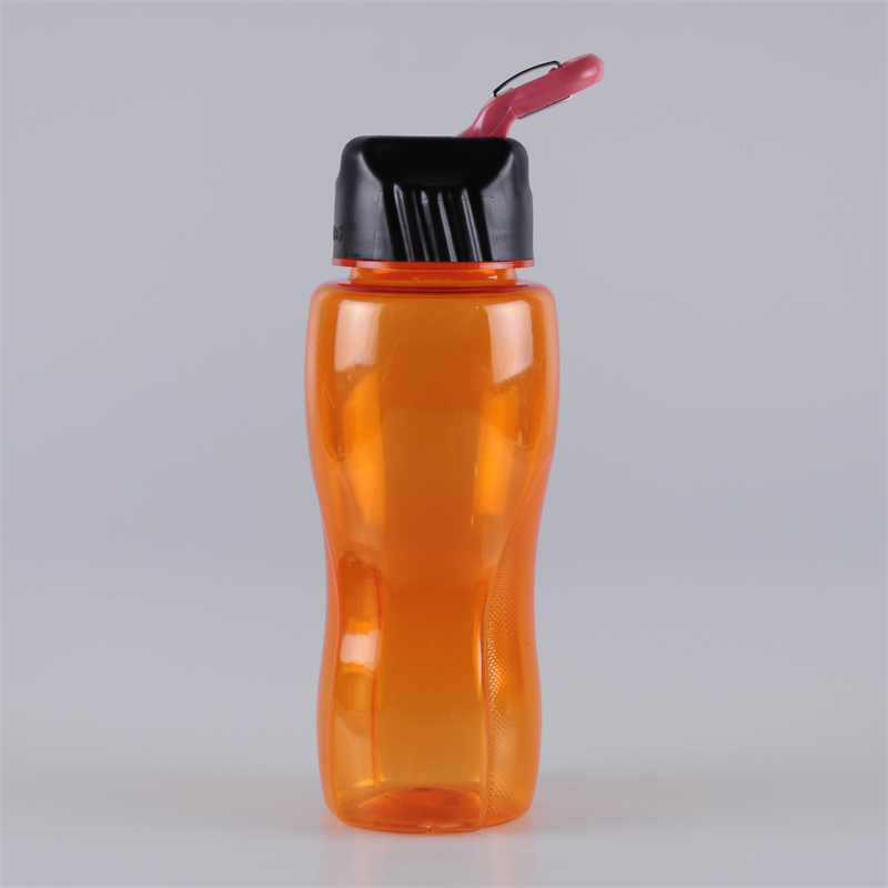 800ml-carabiner-straw-lid-water-bottle-tritan (1)