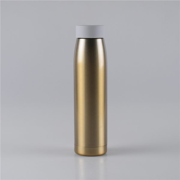 320ml-compact-non-toxic-water-bottles-stainless-steel (1)