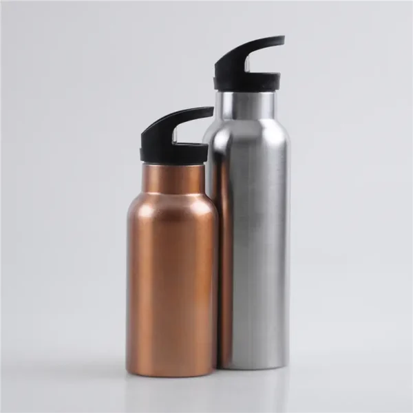 350ml-500ml-carrying-straw-lid-double-walled-vacuum-insulated-water-bottle-1.jpg