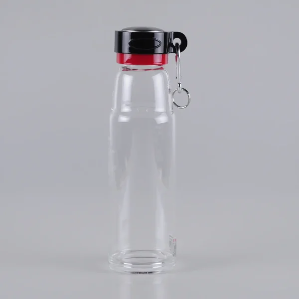 480ml-easy-carrying-high-quality-glass-bottle-1.jpg