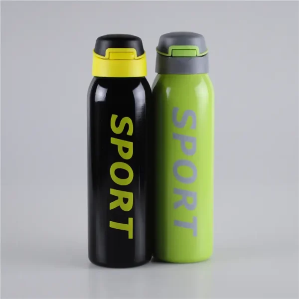 500ml-push-button-lid-vacuum-stainless-steel-water-bottle-5.jpg