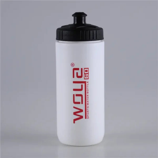 500ml-push-pull-lid-plastic-wide-mouth-water-bottle-1.jpg