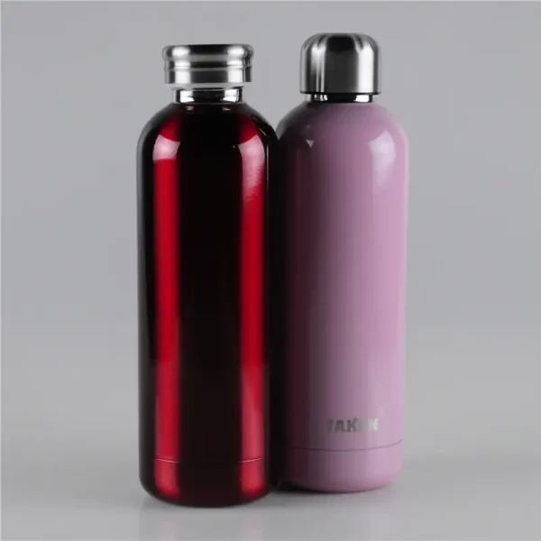 500ml-screwed-cap-double-walled-vacuum-water-bottle-5.jpg