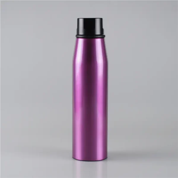 550ml-carrying-hanger-cool-stainless-steel-water-bottle-1.jpg