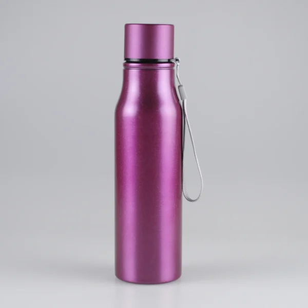 600ml-screwed-cap-stainless-steel-drink-bottles-with-carrying-strap-1.jpg