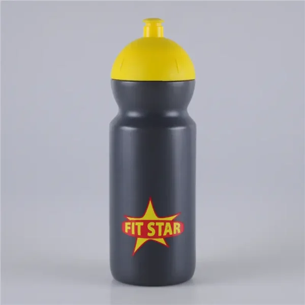 650ml-push-pull-lid-fitness-water-bottle-1.jpg